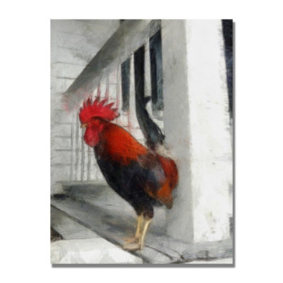 « key west coq » par michelle calkins, reproduction d’art sur toile
