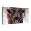 «Frosty Bison», 3 pièces sur toile-98562480