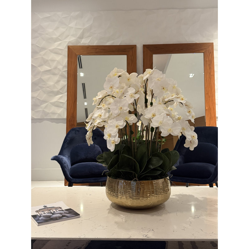 Roberi bowl with multiple stems of white Phalaenopsis orchids, White, 38" H x 22" W x 22" D