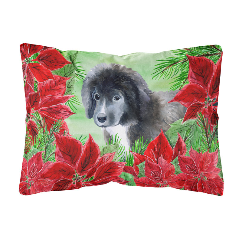 Caroline's Treasures Newfoundland Puppy Poinsettias Throw Pillow