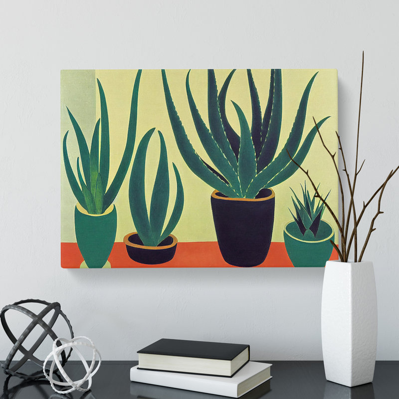 Aloe Vera Plants - Wrapped Canvas, 50cm H x 76cm W x 3cm D