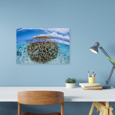 Vibrant Ocean Reef Colorful Peaceful Serene Fish Nature Ocean Wall Art Print
