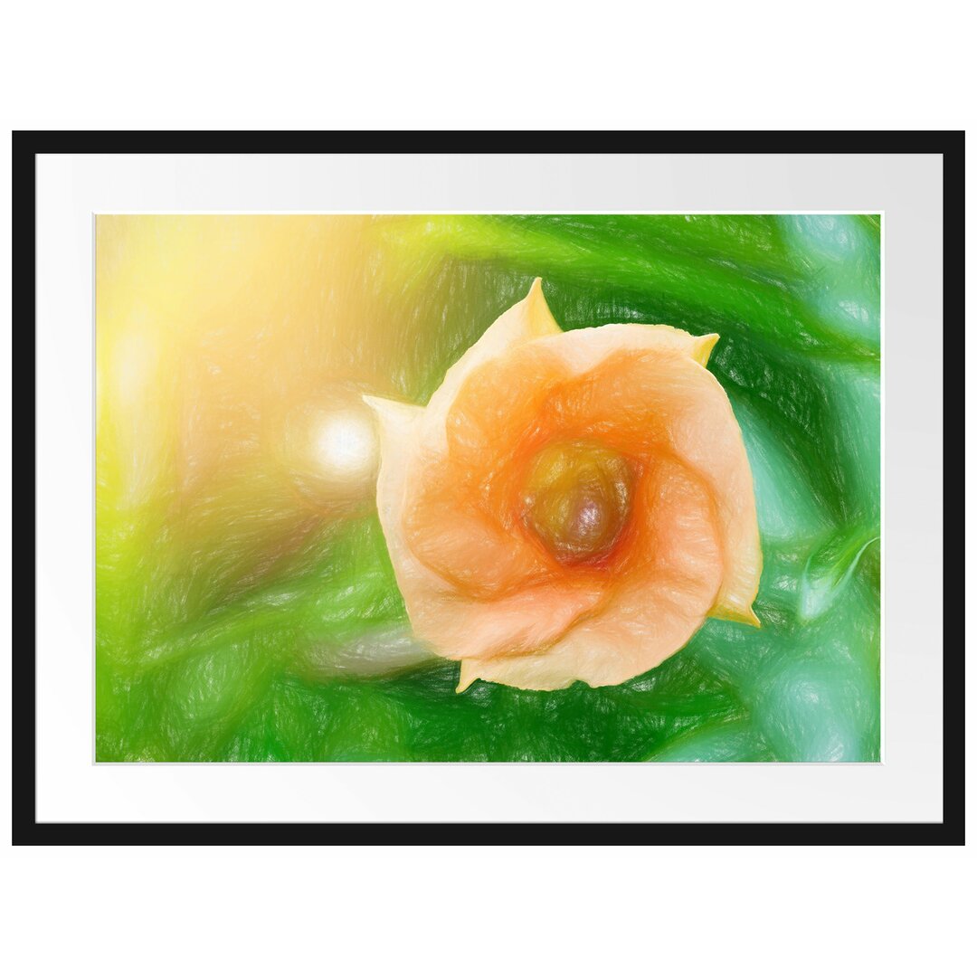 Gerahmtes Poster Orange Blume im Sonnenlicht