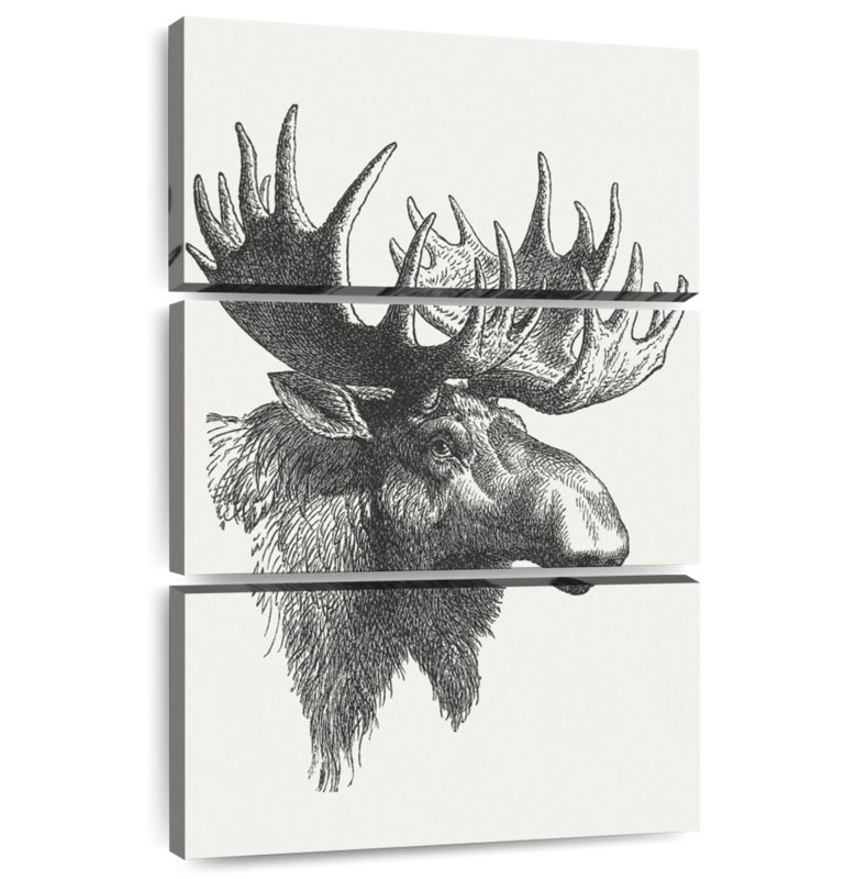 Brampt Bull Moose Head, 65" H x 42" W