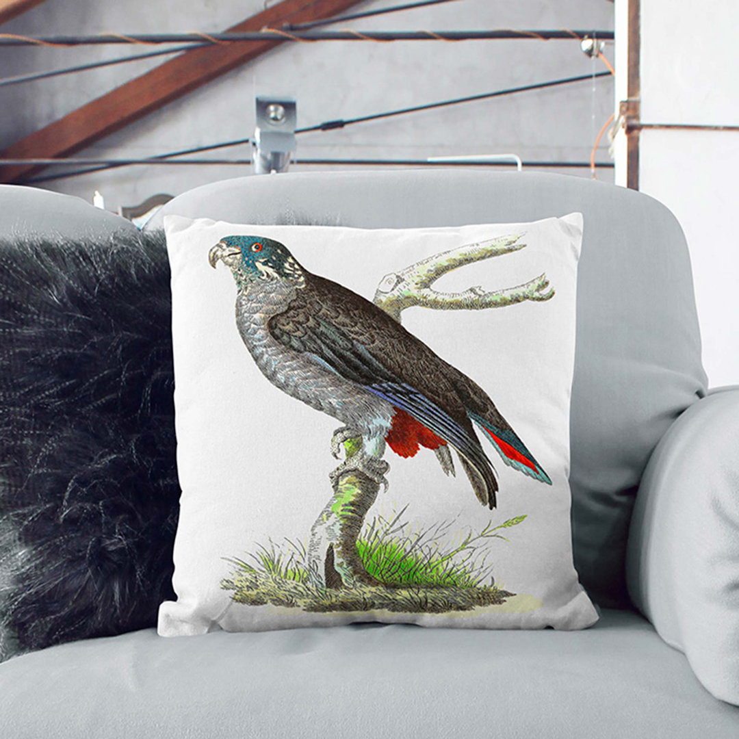 Dusky Parrot by George Shaw Cushion with Filling