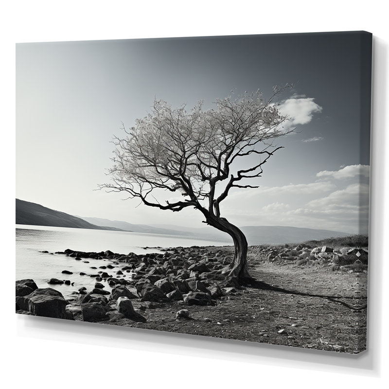 Magnifique arbre en noir et blanc, photographie de lac - art mural lac, H 12 po x l 20 po x P 1 po, Toile tendue
