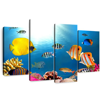 Poissons tropicaux et coraux