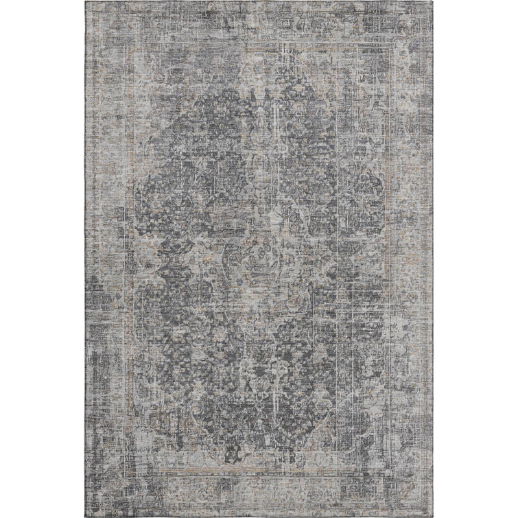 Premium Machine Washable Baford AMF1663 Global Rug