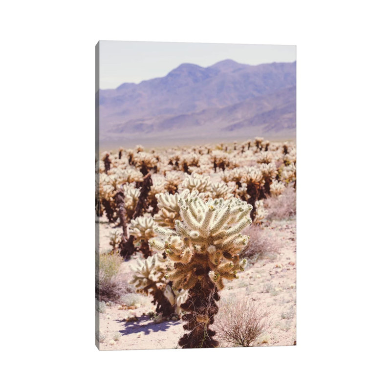 Joshua Tree IV by Ann Hudec - Wrapped Canvas Print, 66.04 cm H x 45.72 cm W x 1.91 cm D