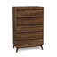 Catalina 5 - Drawer Solid Wood Dresser-24674744