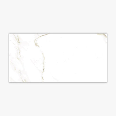 12" x 24" Porcelain Stone Look Wall & Floor Tile
