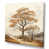 Toile tendue