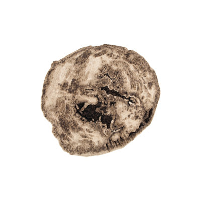 Slice Area Rug