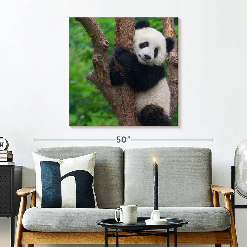 Brampt Adorable Panda