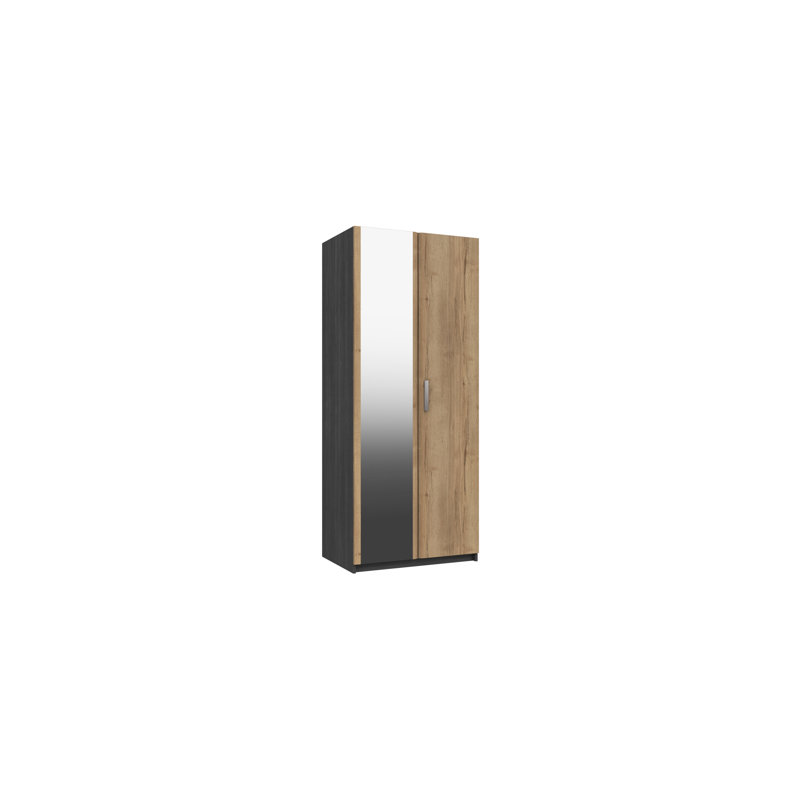 Harvey-Lee 2 Door Manufactured Wood Wardrobe, Graphite/Natural Rustic Oak
