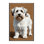 Washable Kuvasz Dogs Area Rug