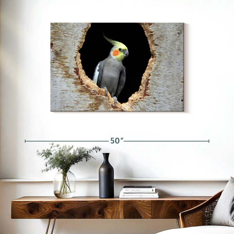 Cockatiel Brampt dans un trou, H 24 po x l 36 po