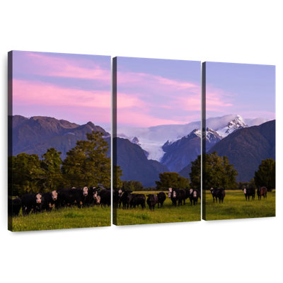 Alvord Picturesque Fox Glacier