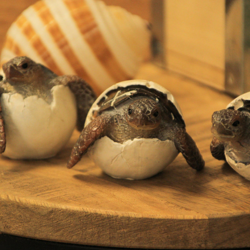 Ensemble de figurines de tortues de mer côtières en résine peintes à la main, ensemble de 3, 2 pouces de hauteur