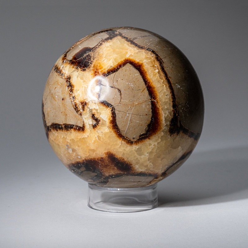 Genuine Polished Septarian (2") Sphere from Madagascar, 3.5" H x 3.5" W x 3.5" D, Brown/Gray/White