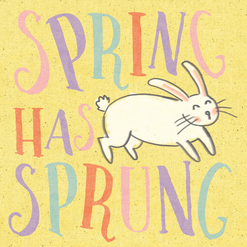 Spring Sprung - Wrapped Canvas Square Print, 91cm H x 91cm W x 3.8cm D