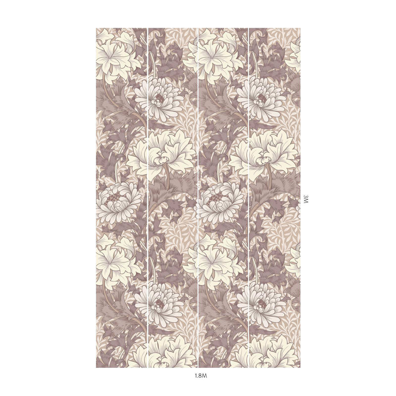 CHRYSANTHEMUM MAGNA Wallpaper - Astrantia 9'10" - full height wallpaper