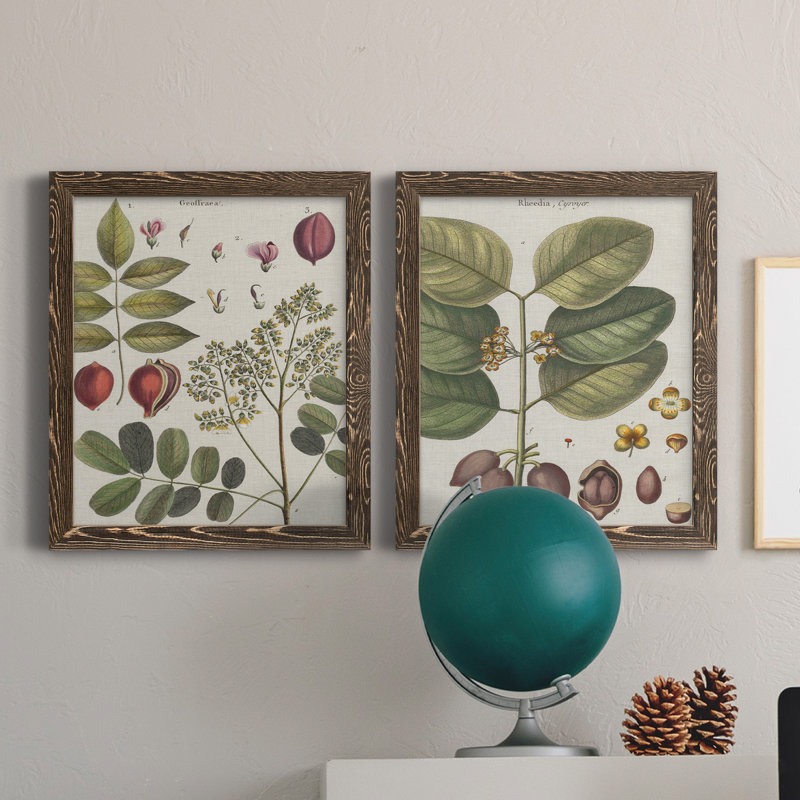 Exotic Botanique I - ensemble de 2 impressions encadrées, H 24 po x l 36 po x P 1,5 po, Toile avec cadre en noyer