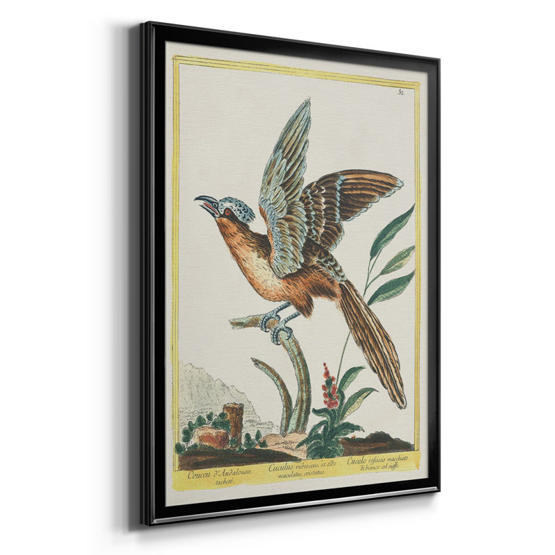 «Pastel Birds IV», reproduction encadrée de qualité supérieure - prête à être accrochée, H 42,5 po x l 91,5 po x P 1 po