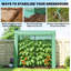 Mini Greenhouse, Garden Tomato Growhouse with Roll-Up Door and 2 Mesh Windows, PE Cover, 200 x 75 x 188 cm, Green