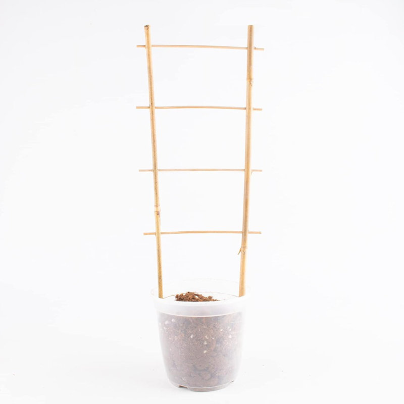 Paquet de 10 treillis en bambou naturel pour plantes grimpantes ...