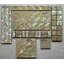 4" x 8" Authentic SeaShell Listello/Border Tile in Abalone Pearl