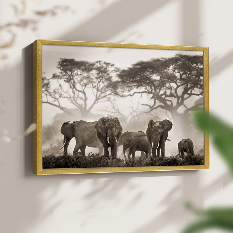 Parc national Amboseli - reproduction encadrée - réarmable, H 11 po x l 14 po, Or