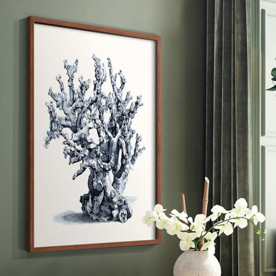 Blue Antique Coral II Framed Print - Solid Wood