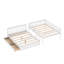 Lit Felske par Harriet Bee-472643872-535089850