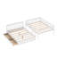 Lit Felske par Harriet Bee-535089850-472643872