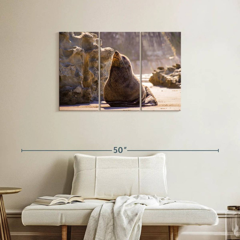 Sunbathing Seal, 24" H x 38" W