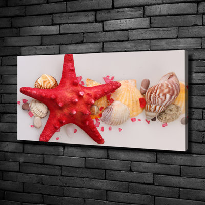 Starfish And Shells - No Frame Print on Canvas