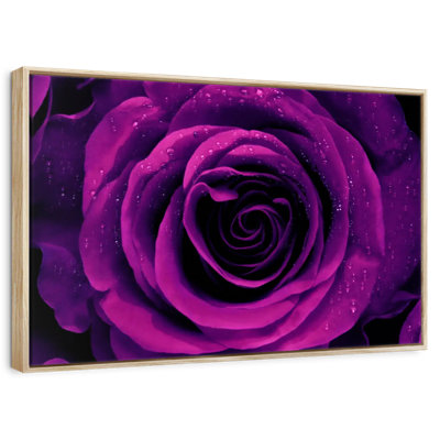 Dewy Purple Rose
