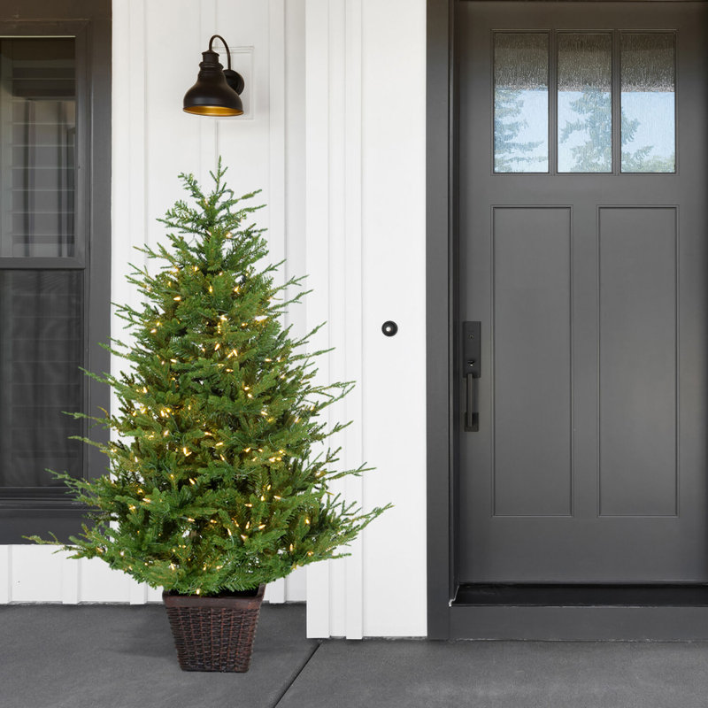 5-ft Green Pine Potted Christmas Tree with Warm White LED Lights