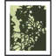 «Exotic Silhouette II» par Jodi Fuchs, impression sur bois encadrée-675441327-675441333-677334429