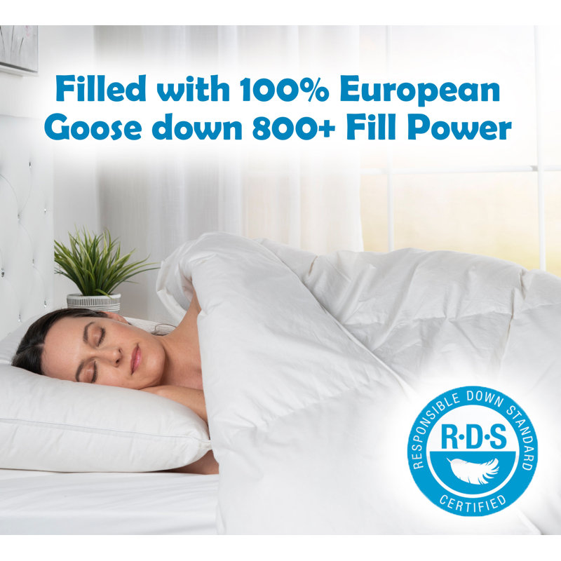 Comfydown White Comforter - Hypoallergenic, Washable, Breathable, Goose Down, 800 Fill Power, With 300 Thread Count Cotton Cover -Made In USA - Twin
