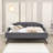 Nollet Full / Double Daybed with Trundle