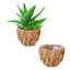 Pots de fleurs-1587513533