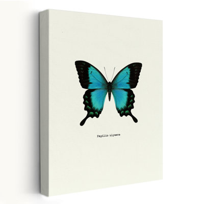 Blue Butterfly - Animals Butterflies Art