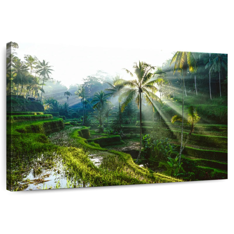 Rizières en terrasses Alvord Bali, H 26 po x l 39 po