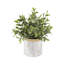 Eucalyptus artificiel 6,5 po en pot