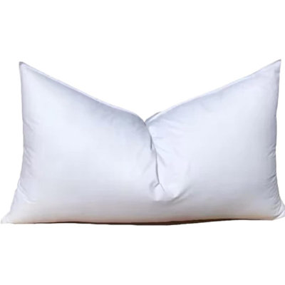 Pre-Decorated Pillow Insert