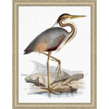 Coastal Ornithology 1' Framed Graphic Art Print on Glass