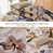 Beige est en rupture de stock