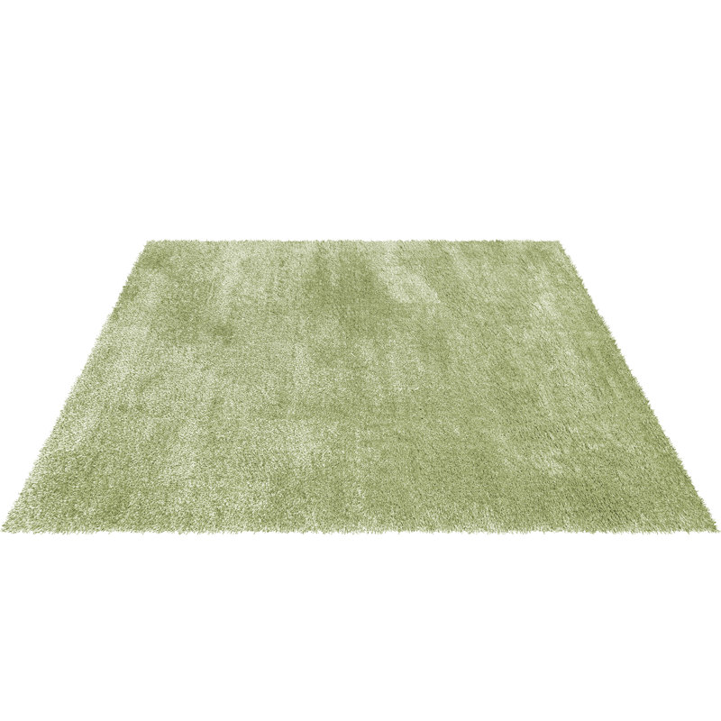 Caylob Shag Indoor / Outdoor Area Rug, Rectangle 160 x 230 cm